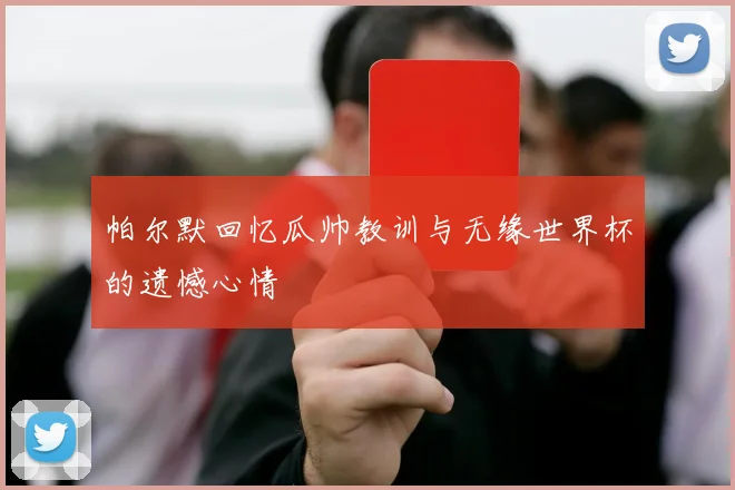 帕尔默回忆瓜帅教训与无缘世界杯的遗憾心情